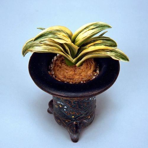 盧 山