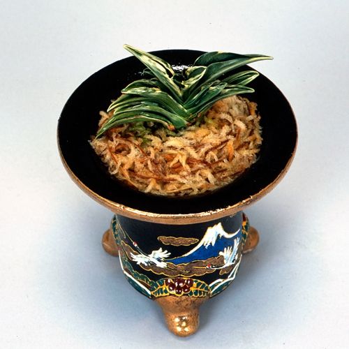 天翔
