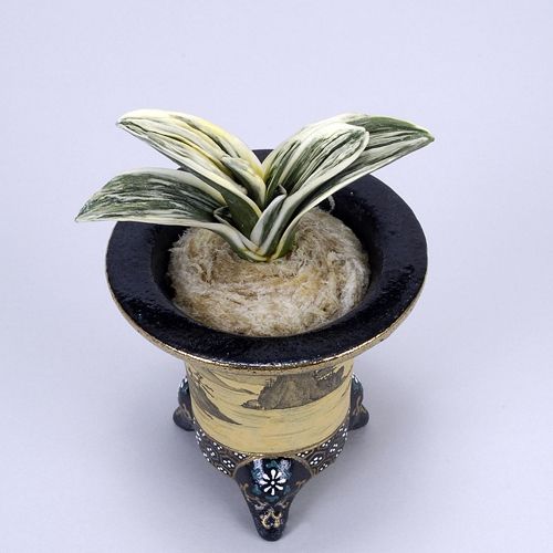 太楽