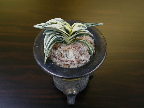 楼蘭