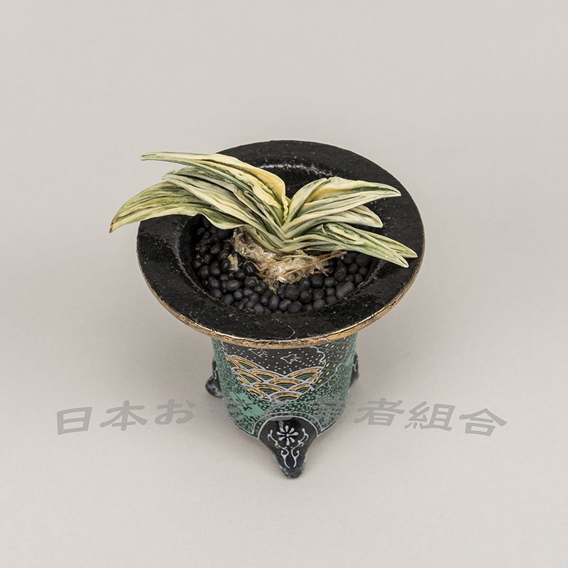 三宝
