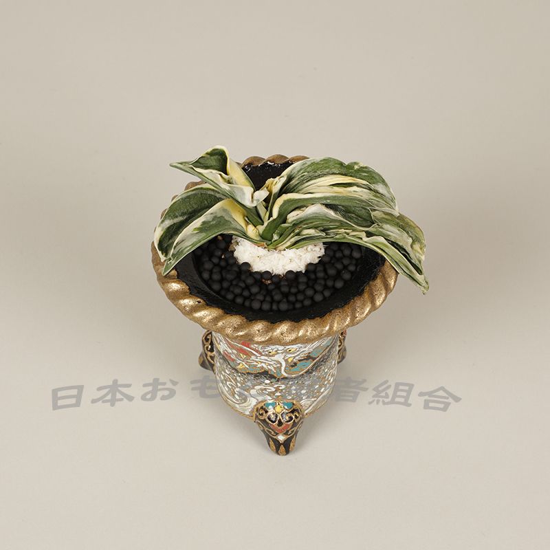 真巖