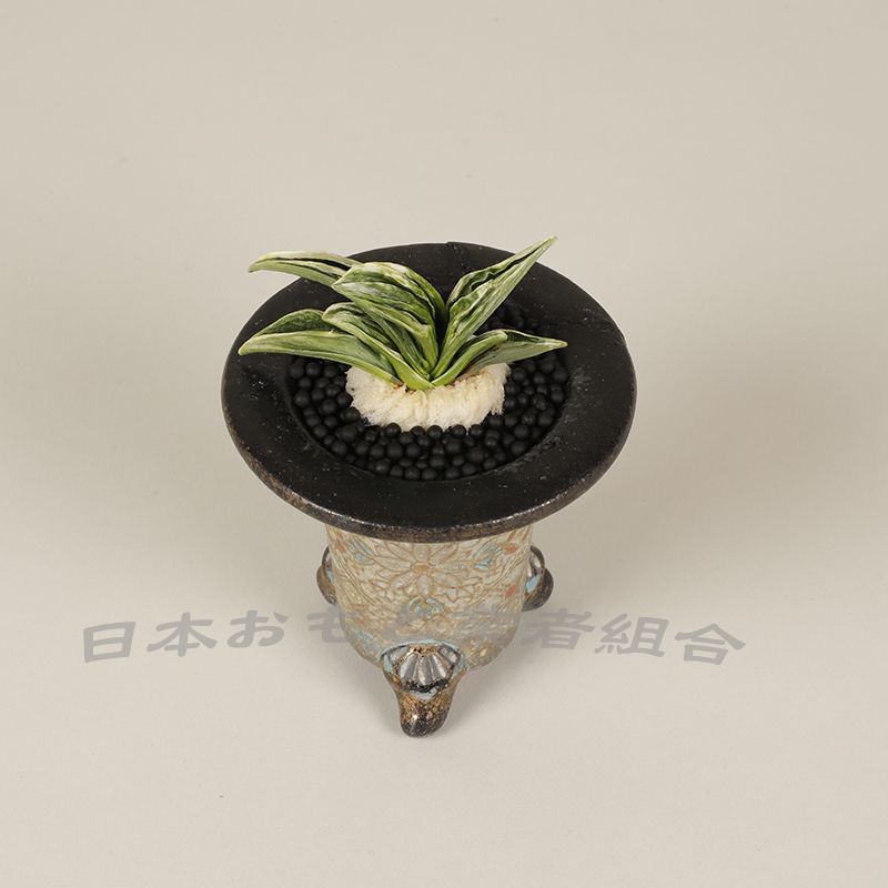 帝王