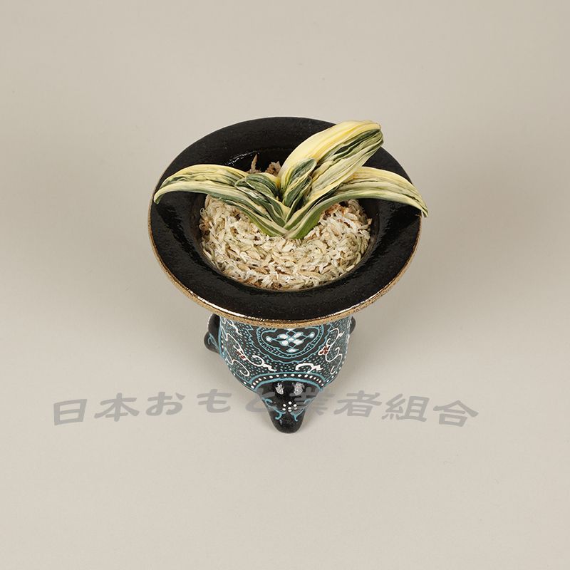 清鑑
