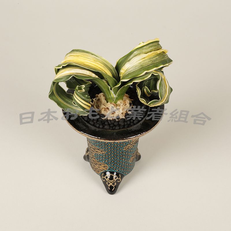 常陸の舞
