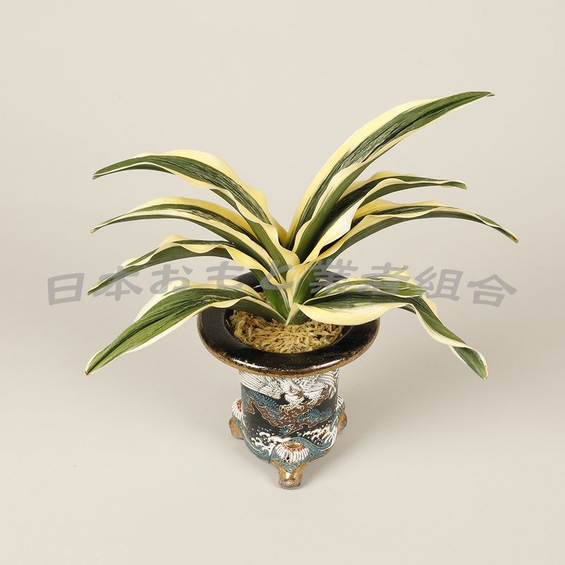大琳