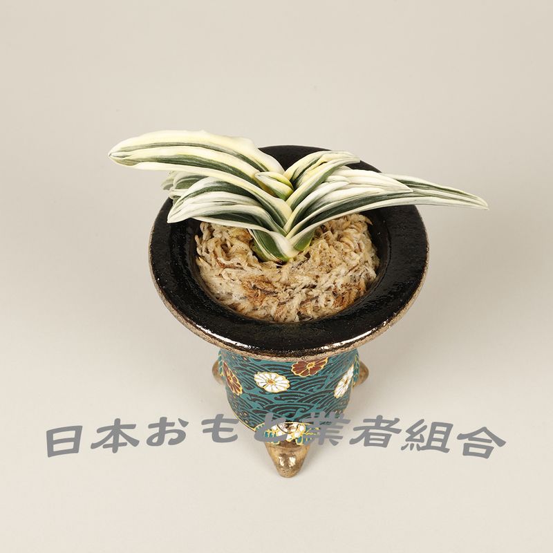 敷島