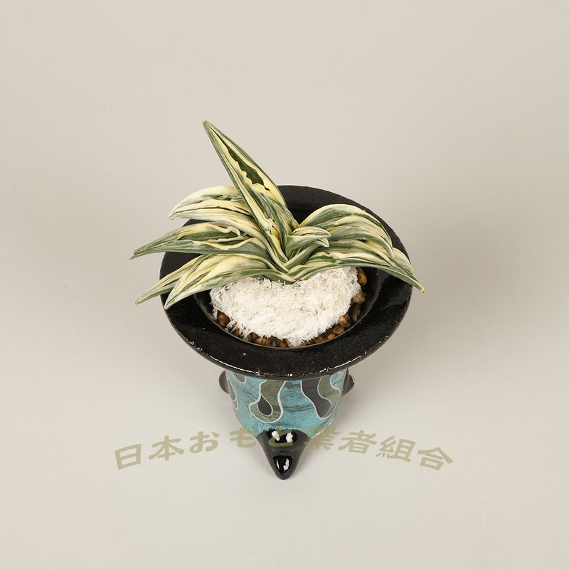 泰斗