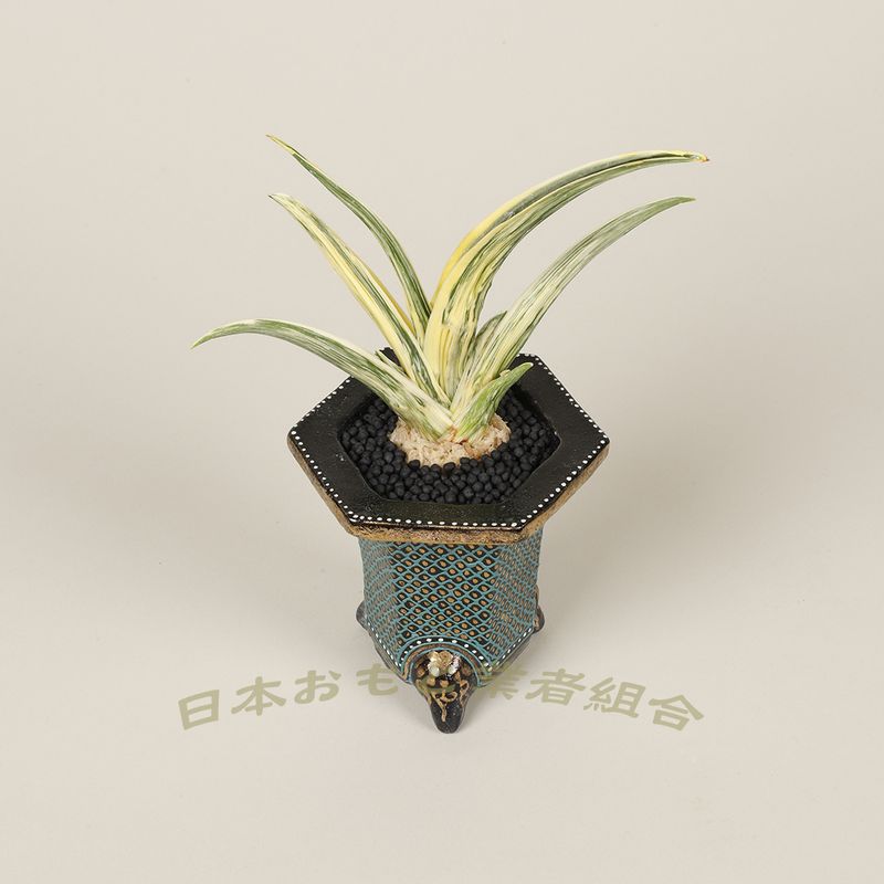 金龍閣