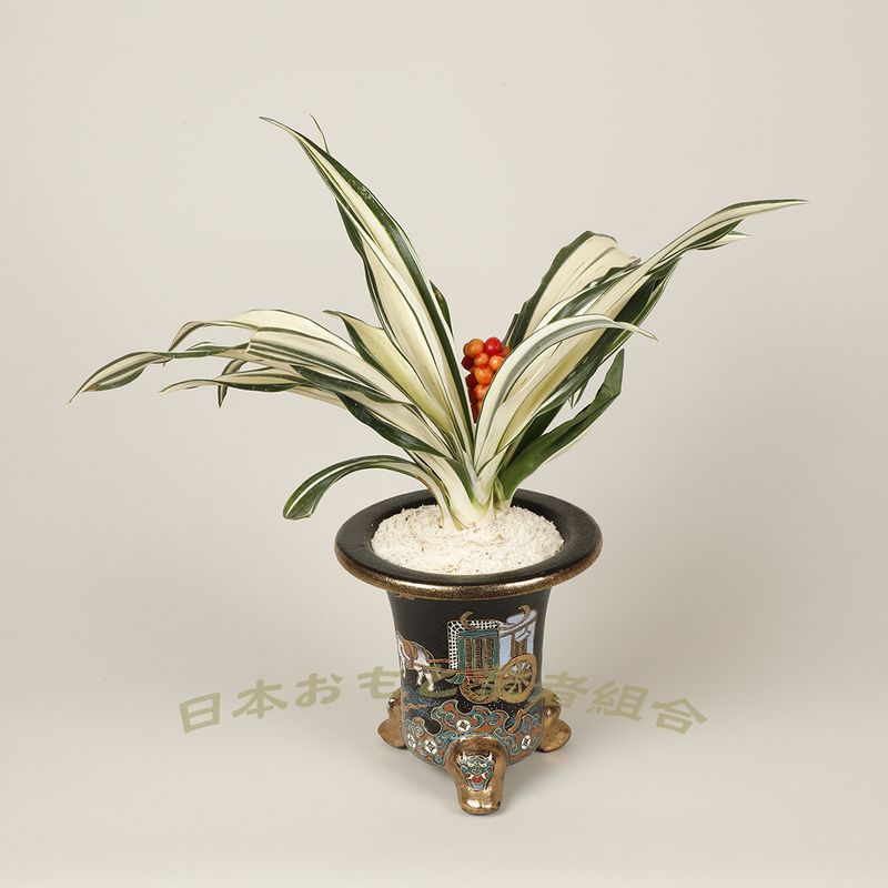 白鷺城