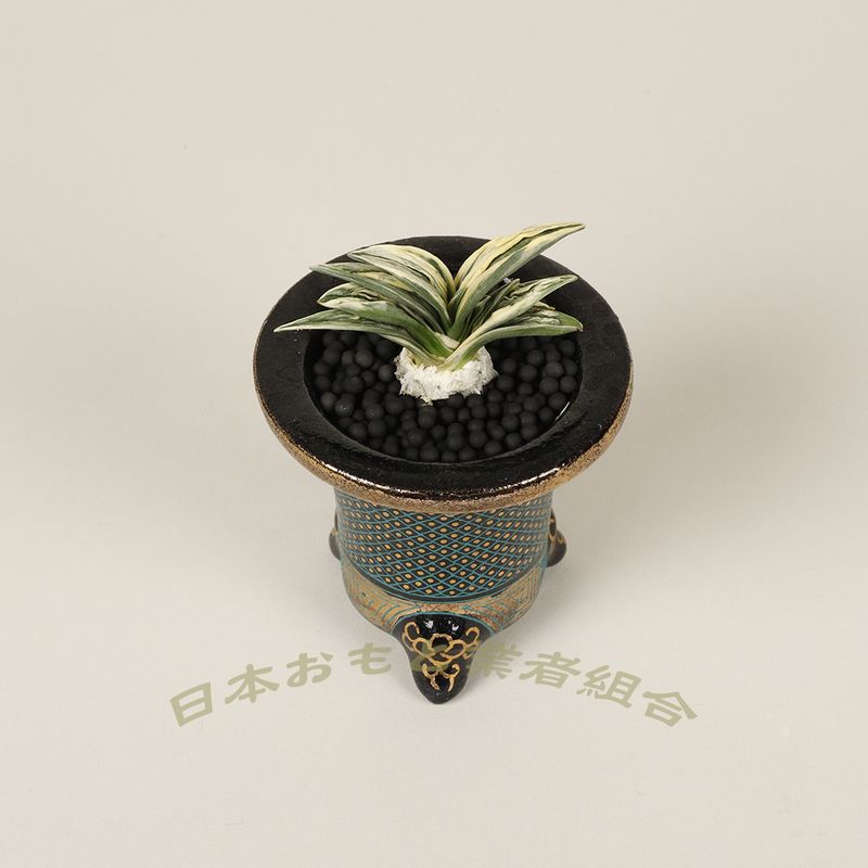 蘭奢待