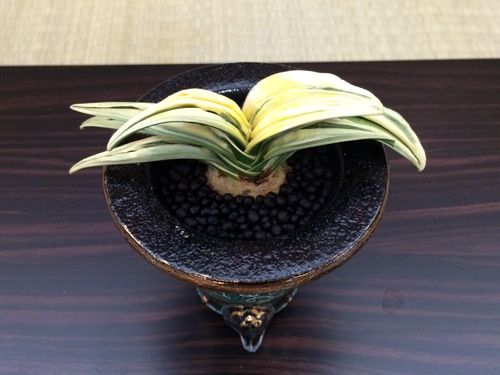 天 元