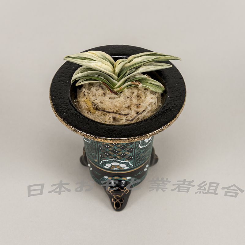羅王