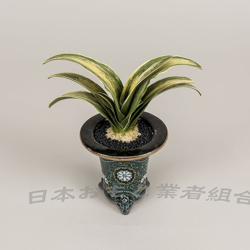 源陽